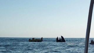 ВИДЕО с потъването на туристическото корабче в Черно море