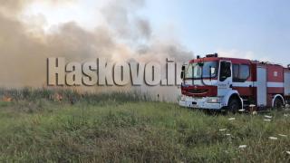 Няма край! Човешка глупост причини страшен пожар в Хасковско (СНИМКИ)