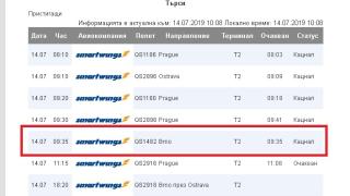 Мистерията се реши! Ето какво се случи със самолета, кръжащ над нос Емине (СНИМКИ)
