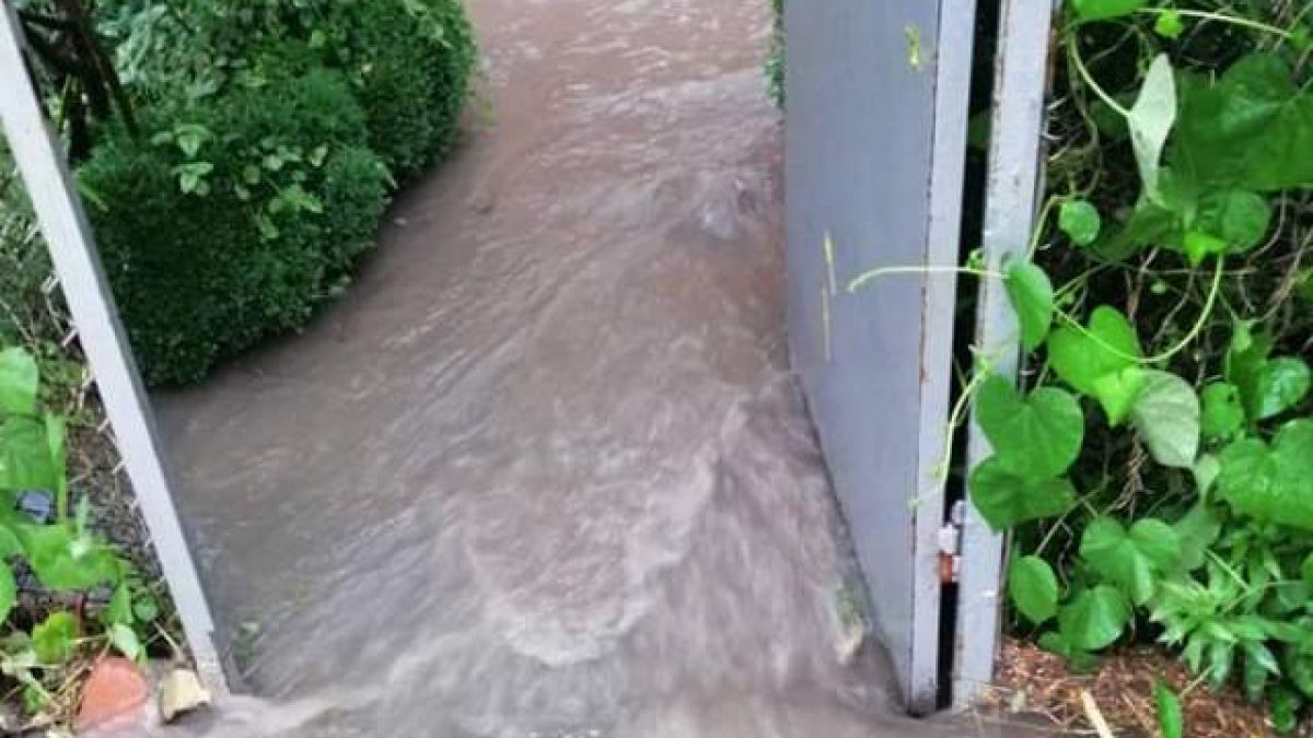Невиждан порой удави Белозем (СНИМКИ)