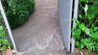 Невиждан порой удави Белозем (СНИМКИ)