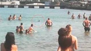 Плажуващи в Гърция убиха по жесток начин морско създание (ВИДЕО)