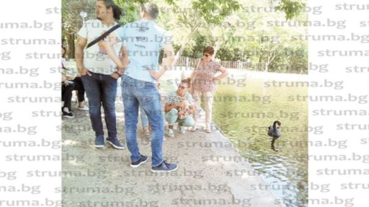 Благоевградчани пропищяха от цигански зулуми