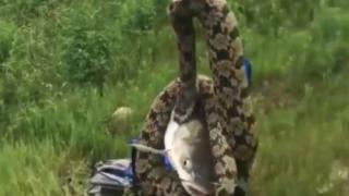 Пълен шок! Рибар остана поразен, когато извади... (СНИМКА) 