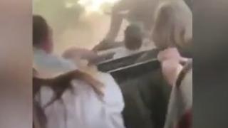 Страховито ВИДЕО! Слон нападна туристи 