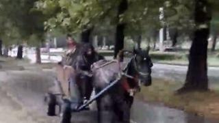 Циганите в Сливен съвсем изнагляха (ВИДЕО)