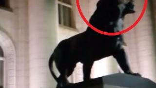 ВИДЕО 18+: Чисто гол мъж яхна лъва пред столичната Съдебна палата! 