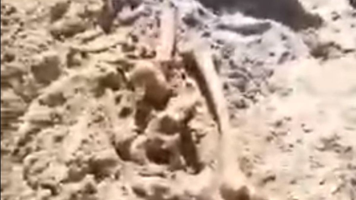 Зловещо! Деца откриха човешки кости на плажа в Китен (ВИДЕО)