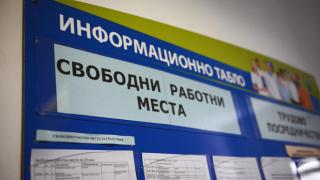 Агенцията по заетостта дава милиони за... 