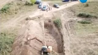 Нашествието на болестта: Нови поражения след африканската чума ВИДЕО