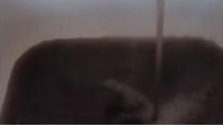 Какво е това: Черна вода в Симеоновград, а вече и... ВИДЕО
