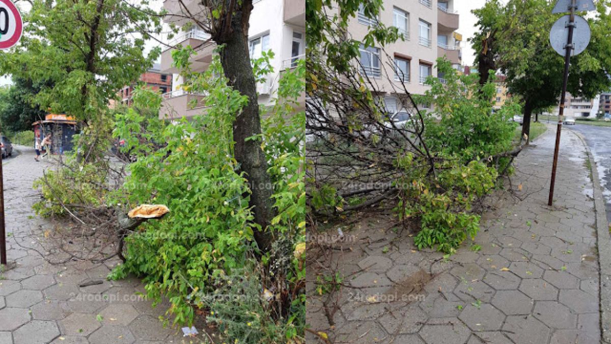 Страшна юлска буря помете Кърджали ВИДЕО