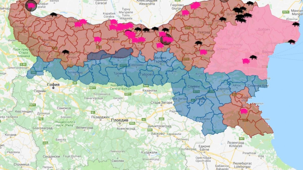 Чумата стигна и до Силистра 