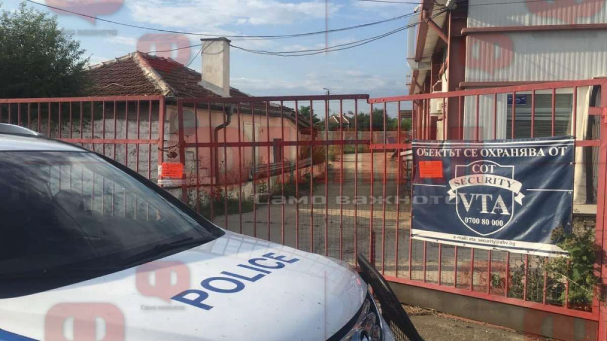 До петък всички прасета в Бургаска област трябва да бъдат заклани!