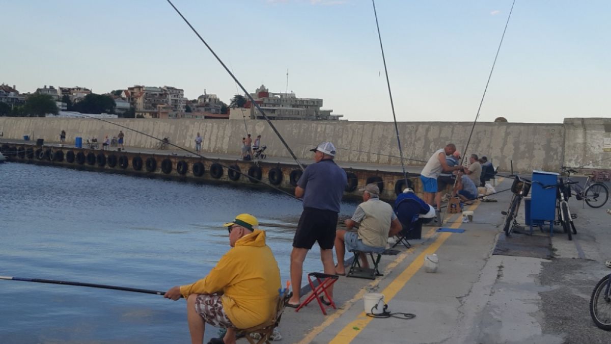 Морските вълци по Черноморието ликуват, а причината е...
