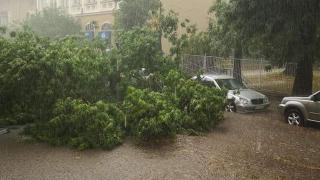 Мощна буря сътвори големи поразии в Плевен и Хасково СНИМКИ