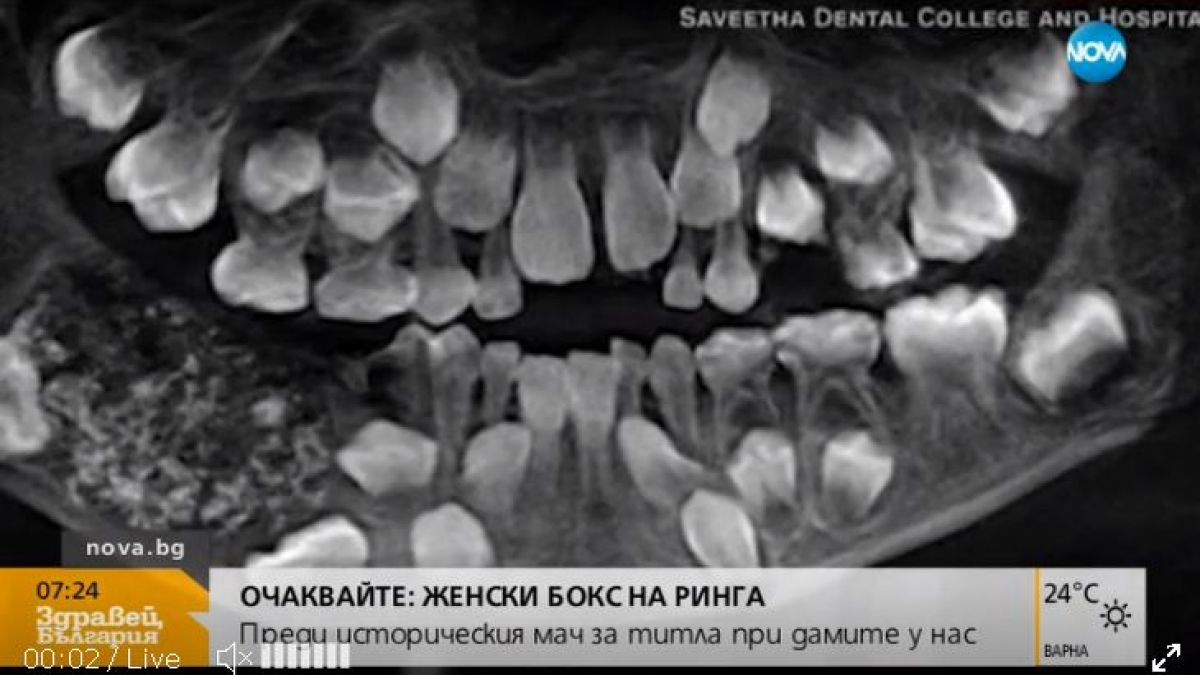 Виктор Николаев изби рибата с лаф, разсмя се здраво в ефир