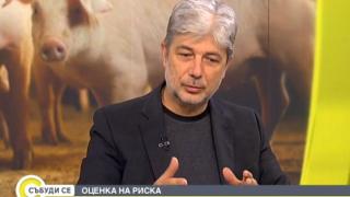 Министър Димов обяви заплашва ли чумата по свинете с екокатастрофа