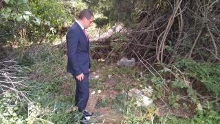 Шофьор слезе да пикае на АМ "Хемус" и се натъкна на страшна гледка СНИМКИ 