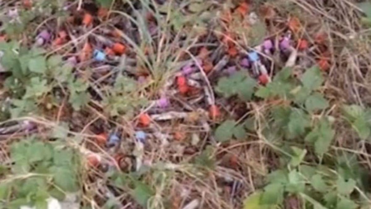 Зловещо ВИДЕО от кървавата находка край магистрала "Хемус"