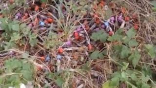 Зловещо ВИДЕО от кървавата находка край магистрала "Хемус"