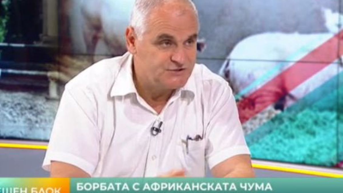 Опасно: Вирусът на африканската чума издържа в замразено месо до 2-3 години