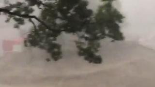 Страшен апокалипсис се разрази над Виена ВИДЕО