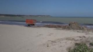 Миризлива гнус на плажа в „Сарафово” ВИДЕО