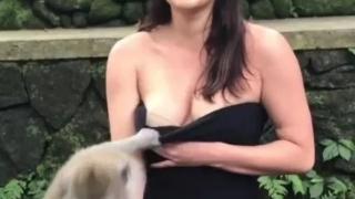 Разгонен маймун разсъблече 21-годишна туристка с увиснал бюст СНИМКИ 18+