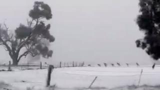 Шокиращо ВИДЕО от Австралия изуми света