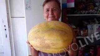 Баба Гинка отгледа истински гигант в градината си СНИМКИ