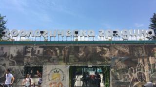 Британският бежанец проплака: Как да накарам жената да сготви Шкембе чорба