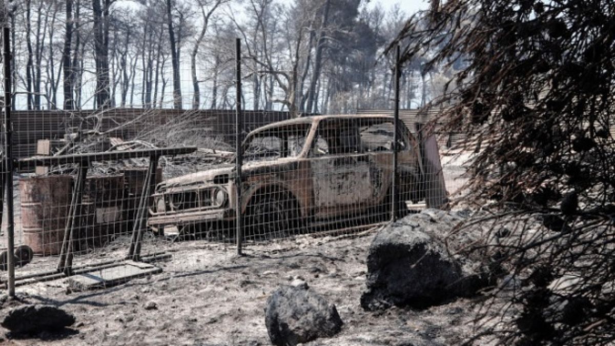 Арестуваха четирима подпалвачи на големите пожари в Гърция