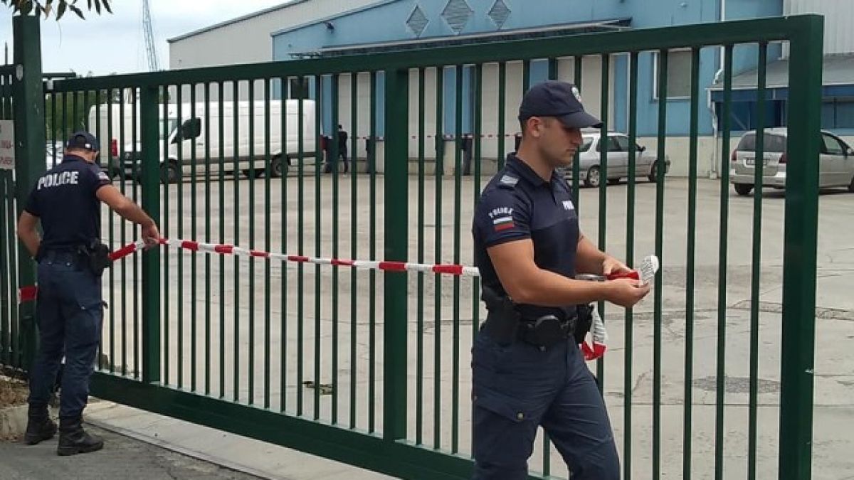 Ето къде намериха кокаина, маскиран с банани СНИМКИ