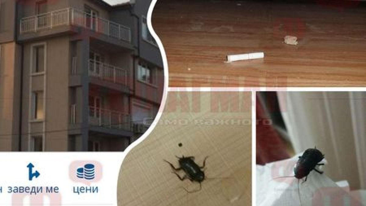Собственикът на хотела с хлебарките в Поморие с интересна версия за инцидента 