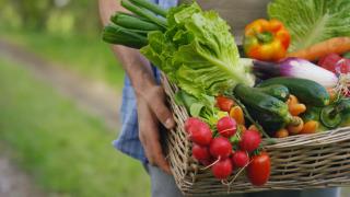 Създададоха електронен регистър за операторите на биологични продукти