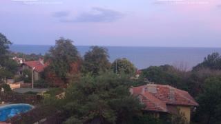 Баби с вили завъртяха доходен бизнес край Варна СНИМКИ