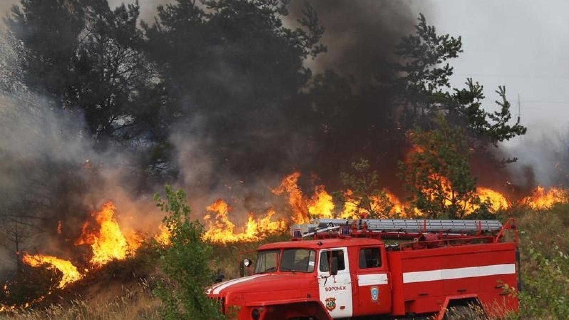 Ужасяващо! Баба тръгна да гаси пожар, падна на земята и ... 