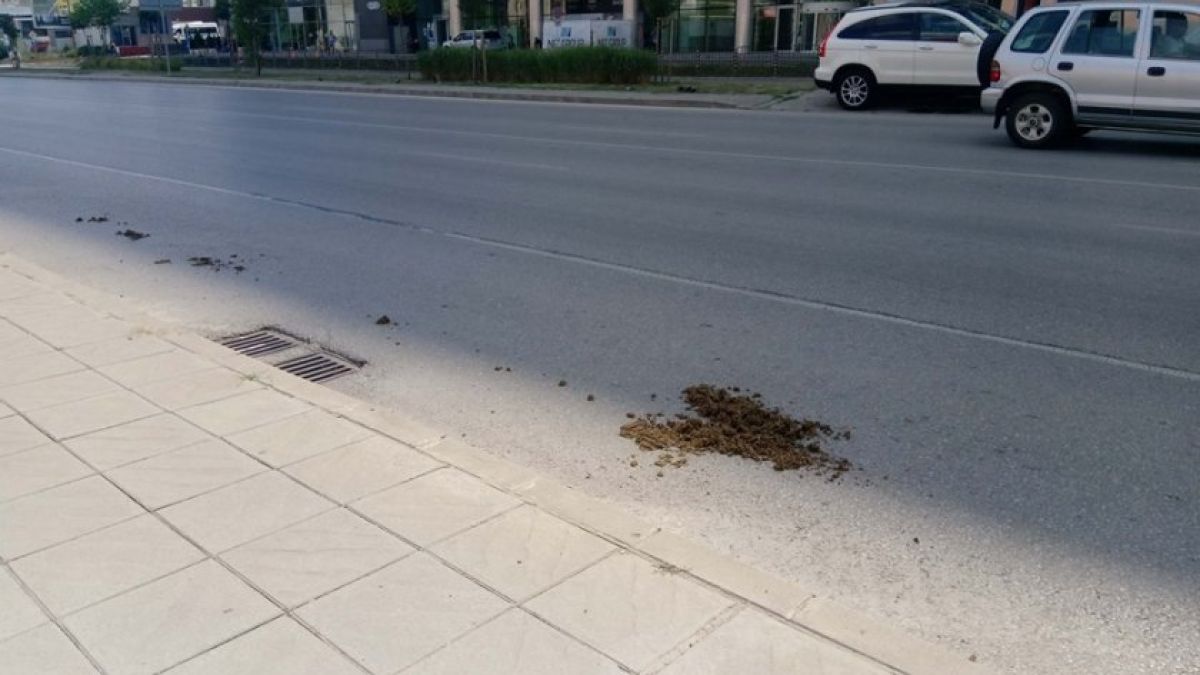 Простотията край няма: Осраха столичния бул. "Тодор Каблешков" СНИМКИ