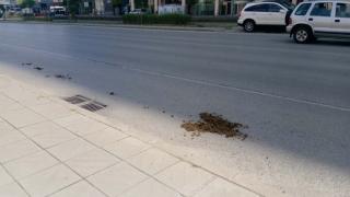 Простотията край няма: Осраха столичния бул. "Тодор Каблешков" СНИМКИ