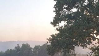 Пламъци обхванаха и Странджа ВИДЕО