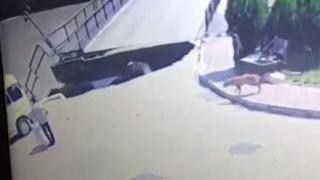 Мост се срути, повличайки коли и хора в реката! Страховито ВИДЕО 