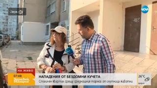 Нощен ужас за хората в цял столичен квартал ВИДЕО