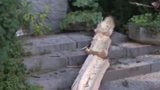 Вижте пораженията от мълнията, паднала в центъра на Велико Търново