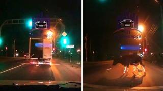 Открадната крава падна от камион и се въргаля по пътя ВИДЕО 