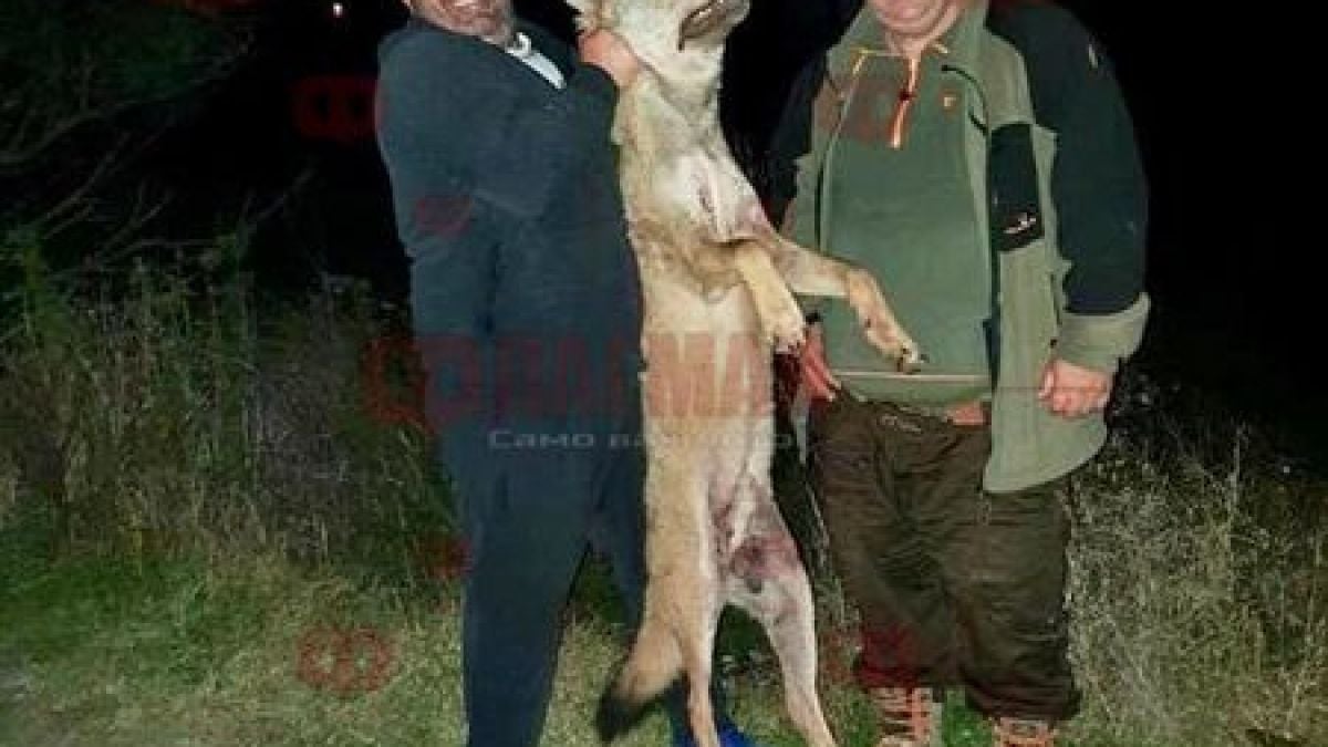 Мащабна спецакция на ГДБОП скова Бургаско! Арестуваните са десетки, а...