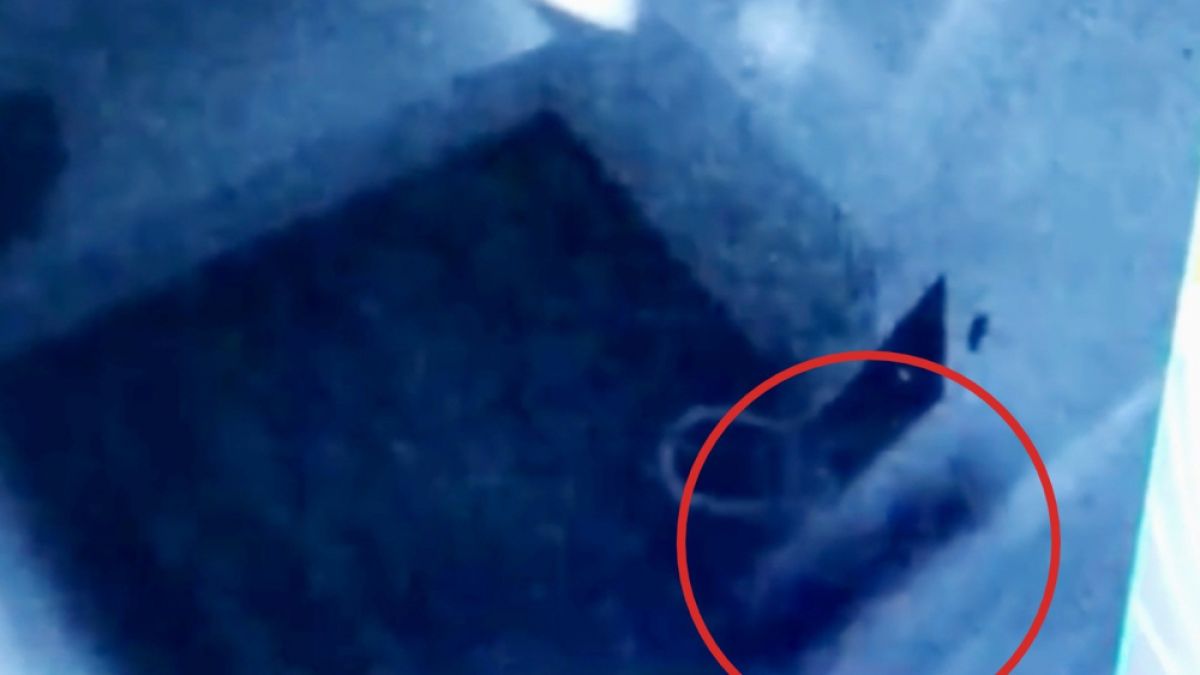 Страховито ВИДЕО с празна килия, в която изведнъж се появява призрак