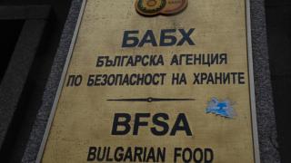 БАБХ и свиневъдите обсъдиха епизоотичната ситуация и мерките за борба с Африканската чума