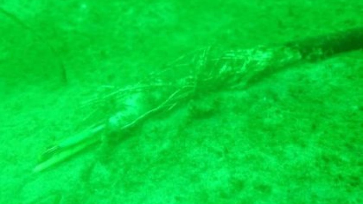 Подводна обсерватория изчезна мистериозно от дъното на Балтийско море