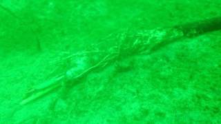 Подводна обсерватория изчезна мистериозно от дъното на Балтийско море